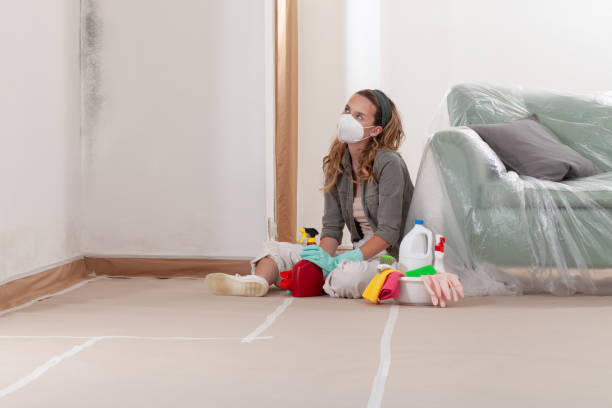 Reliable Black Mold Remediation contractor in Fairview, OR by Car Mold Remediation